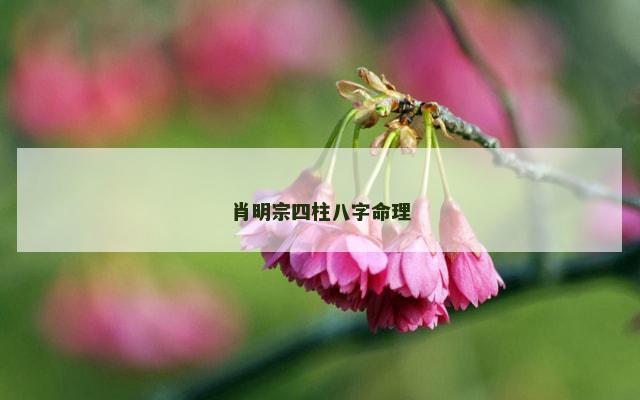 肖明宗四柱八字命理
