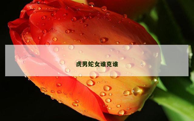 虎男蛇女谁克谁