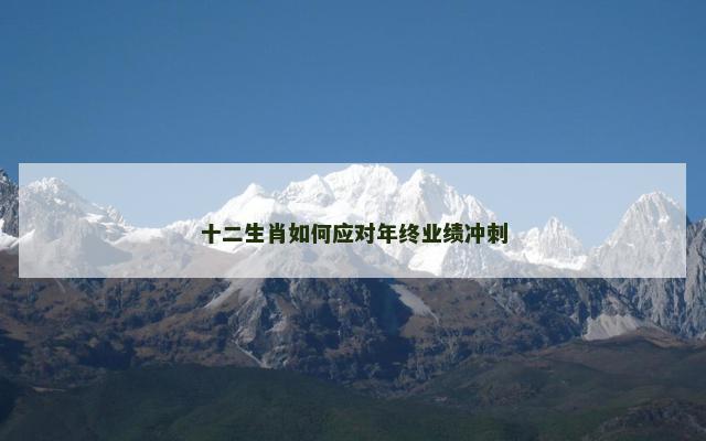 十二生肖如何应对年终业绩冲刺