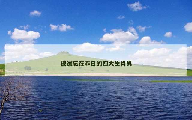 被遗忘在昨日的四大生肖男