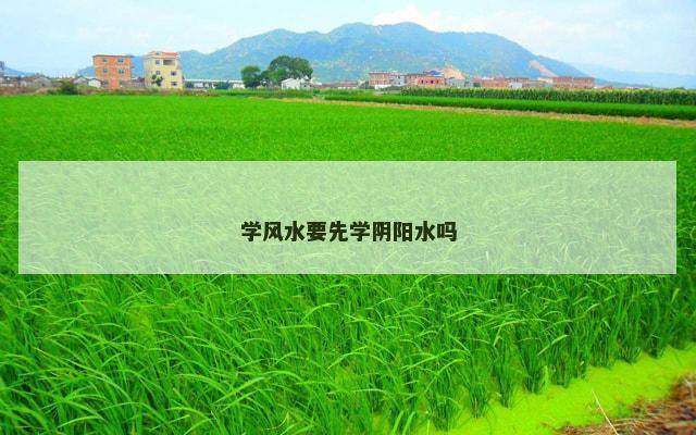 学风水要先学阴阳水吗