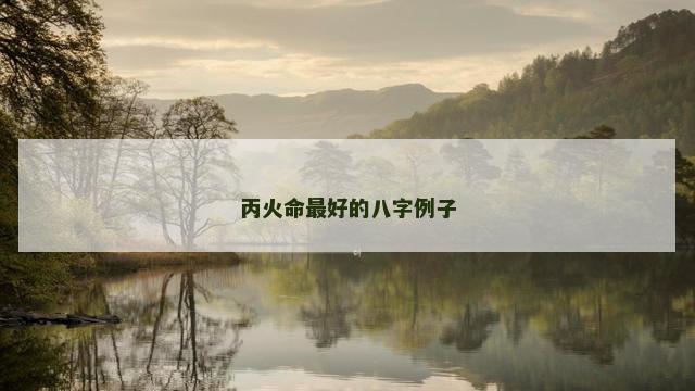丙火命最好的八字例子