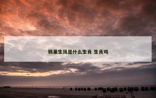 鸦巢生凤是什么生肖 生肖鸡