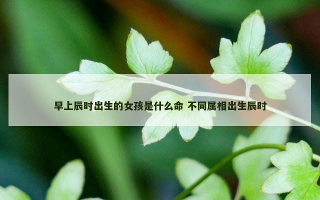 早上辰时出生的女孩是什么命 不同属相出生辰时