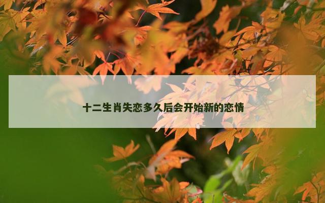 十二生肖失恋多久后会开始新的恋情