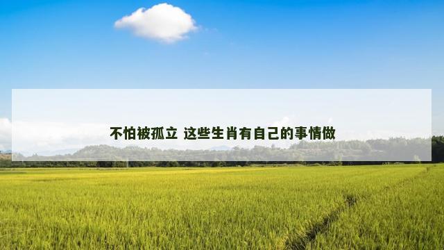 不怕被孤立 这些生肖有自己的事情做