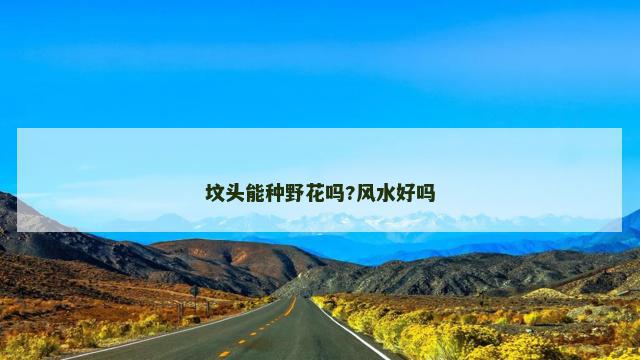 坟头能种野花吗?风水好吗