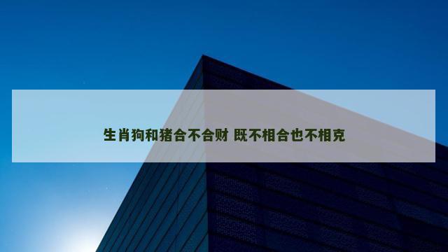 生肖狗和猪合不合财 既不相合也不相克