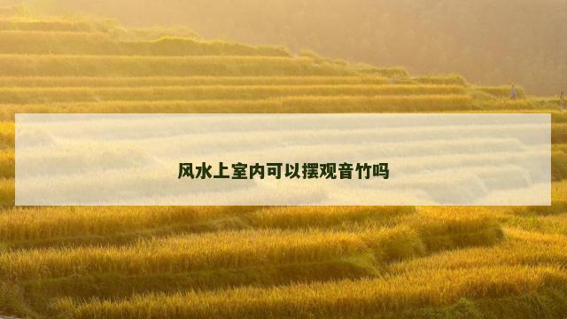 风水上室内可以摆观音竹吗