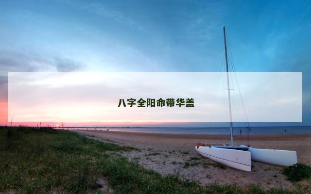 八字全阳命带华盖