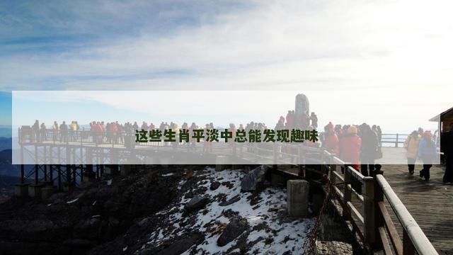 这些生肖平淡中总能发现趣味