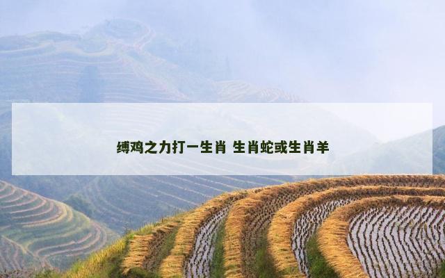 缚鸡之力打一生肖 生肖蛇或生肖羊