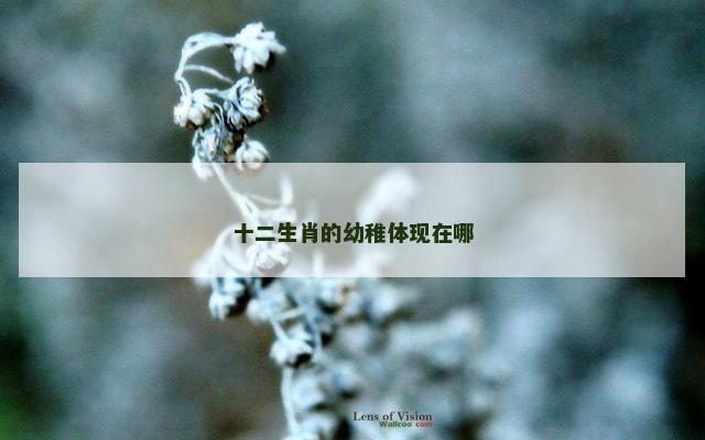 十二生肖的幼稚体现在哪
