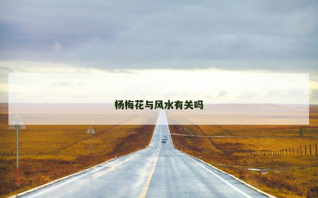 杨梅花与风水有关吗