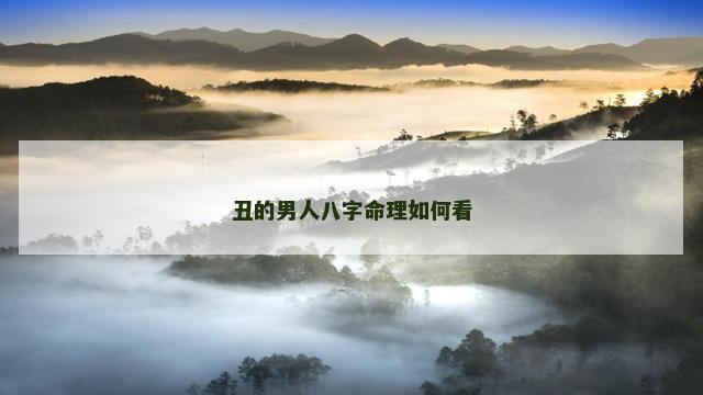 丑的男人八字命理如何看