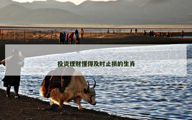 投资理财懂得及时止损的生肖