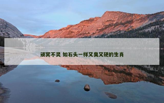顽冥不灵 如石头一样又臭又硬的生肖