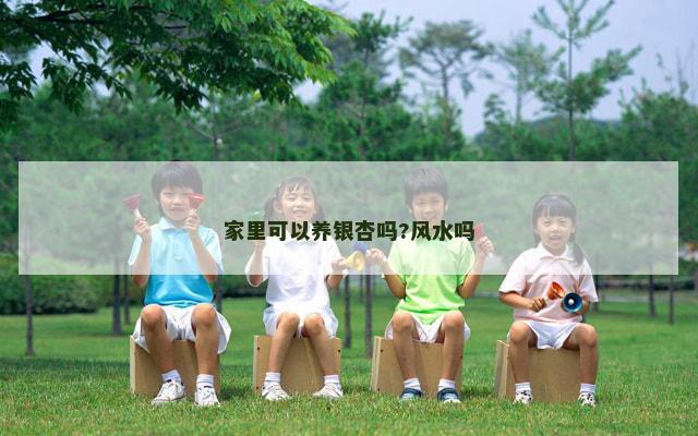 家里可以养银杏吗?风水吗