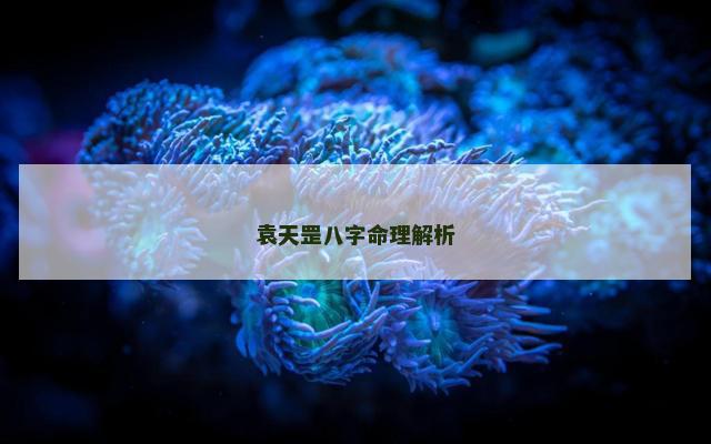 袁天罡八字命理解析