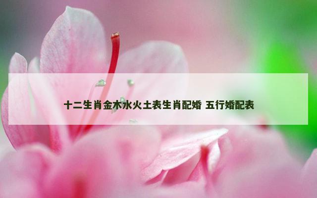 十二生肖金木水火土表生肖配婚 五行婚配表
