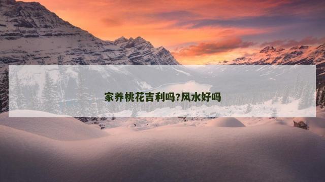 家养桃花吉利吗?风水好吗