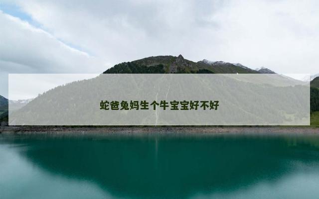 蛇爸兔妈生个牛宝宝好不好