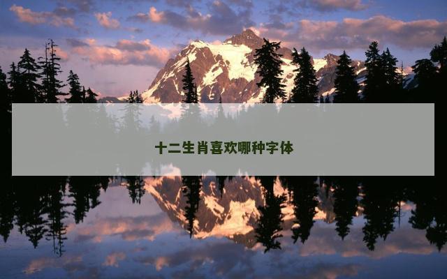 十二生肖喜欢哪种字体