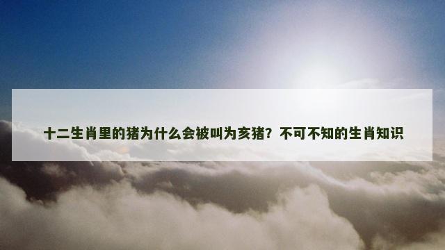 十二生肖里的猪为什么会被叫为亥猪？不可不知的生肖知识