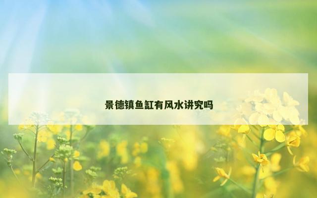 景德镇鱼缸有风水讲究吗