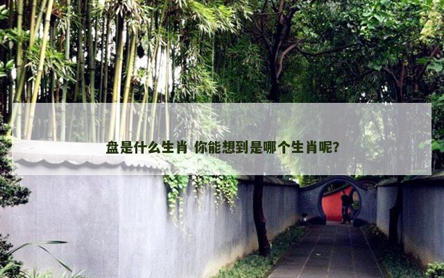 盘是什么生肖 你能想到是哪个生肖呢？