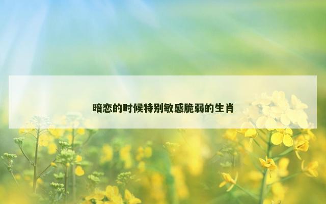 暗恋的时候特别敏感脆弱的生肖
