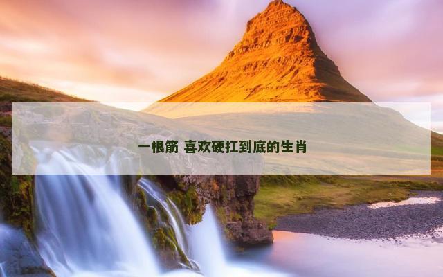 一根筋 喜欢硬扛到底的生肖