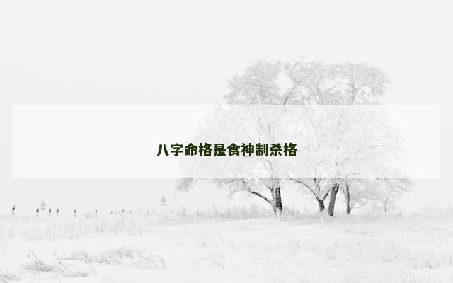 八字命格是食神制杀格