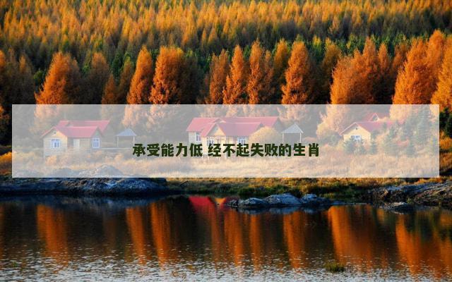 承受能力低 经不起失败的生肖