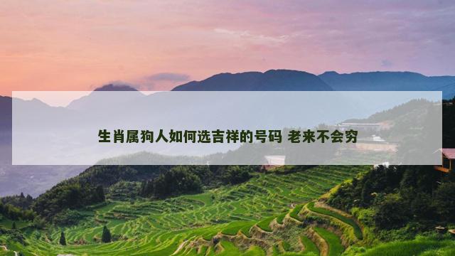 生肖属狗人如何选吉祥的号码 老来不会穷