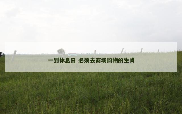 一到休息日 必须去商场购物的生肖