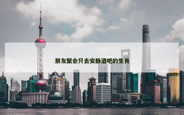 朋友聚会只去安静酒吧的生肖