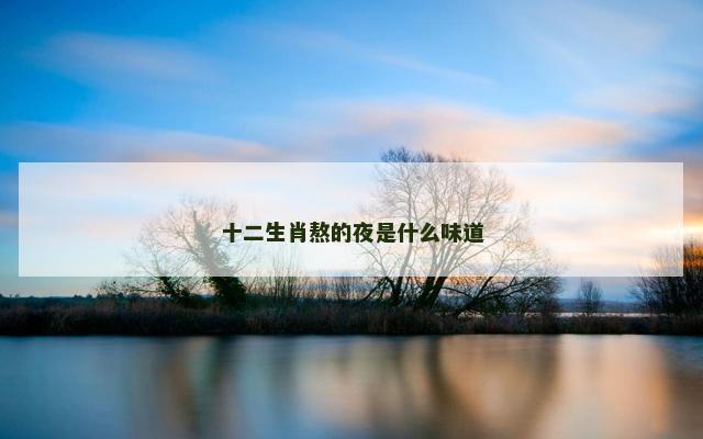 十二生肖熬的夜是什么味道