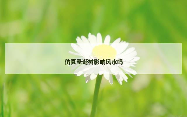 仿真圣诞树影响风水吗