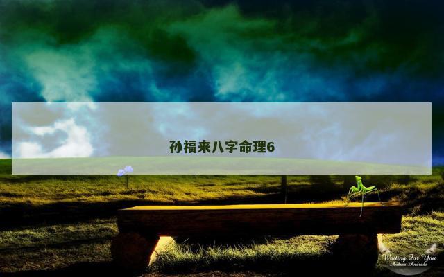 孙福来八字命理6