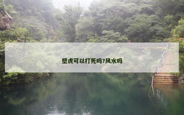 壁虎可以打死吗?风水吗