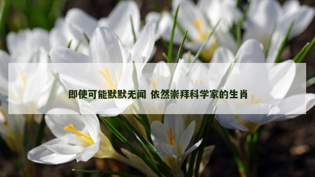 即使可能默默无闻 依然崇拜科学家的生肖