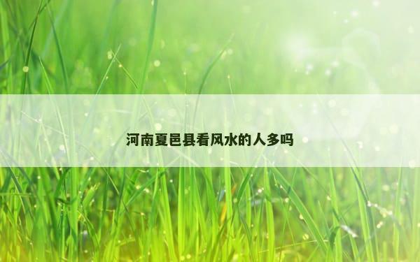 河南夏邑县看风水的人多吗