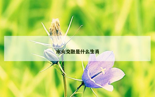 水火交融是什么生肖