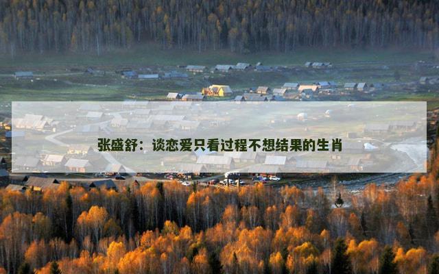 张盛舒：谈恋爱只看过程不想结果的生肖