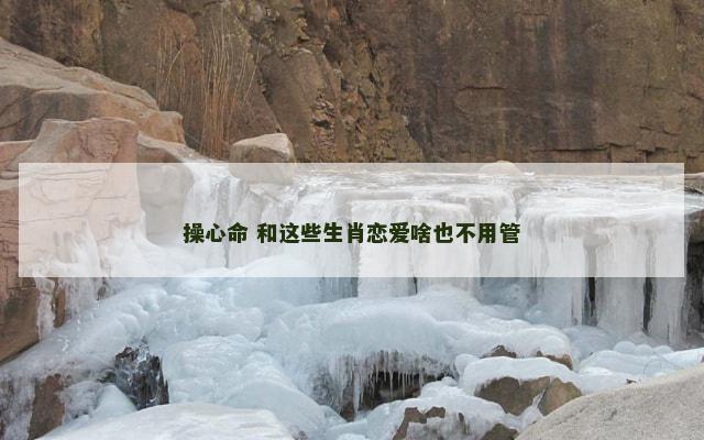 操心命 和这些生肖恋爱啥也不用管