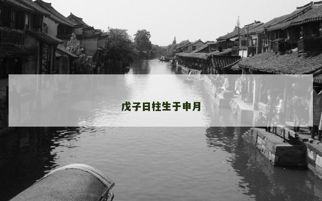 戊子日柱生于申月