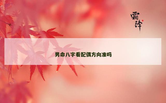 男命八字看配偶方向准吗