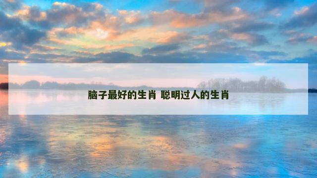 脑子最好的生肖 聪明过人的生肖
