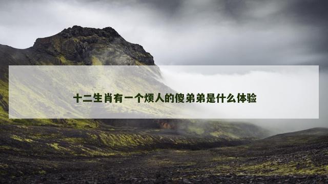 十二生肖有一个烦人的傻弟弟是什么体验
